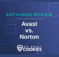 Avast vs. Norton 360