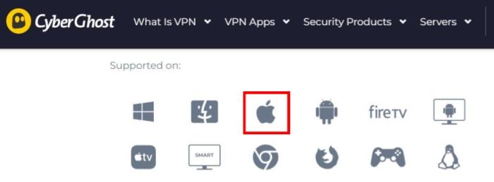 Screenshot of a VPN service