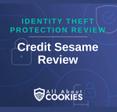 A blue background with images of locks and shields with the text &quot;Identity Theft Protection Review Credit Sesame Review&quot; and the All About Cookies logo. 