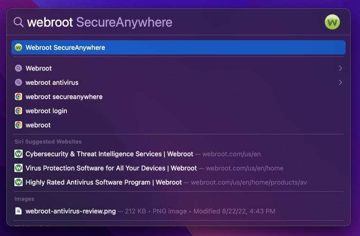 Screenshot of Mac search bar