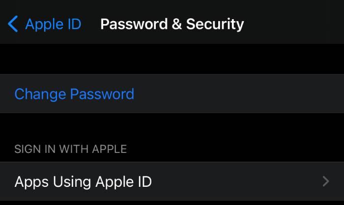 The Password & Security page on an iPhone/iPad.