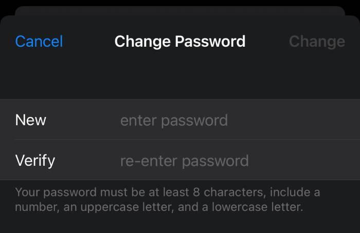 The Change Password page on an iPhone/iPad.