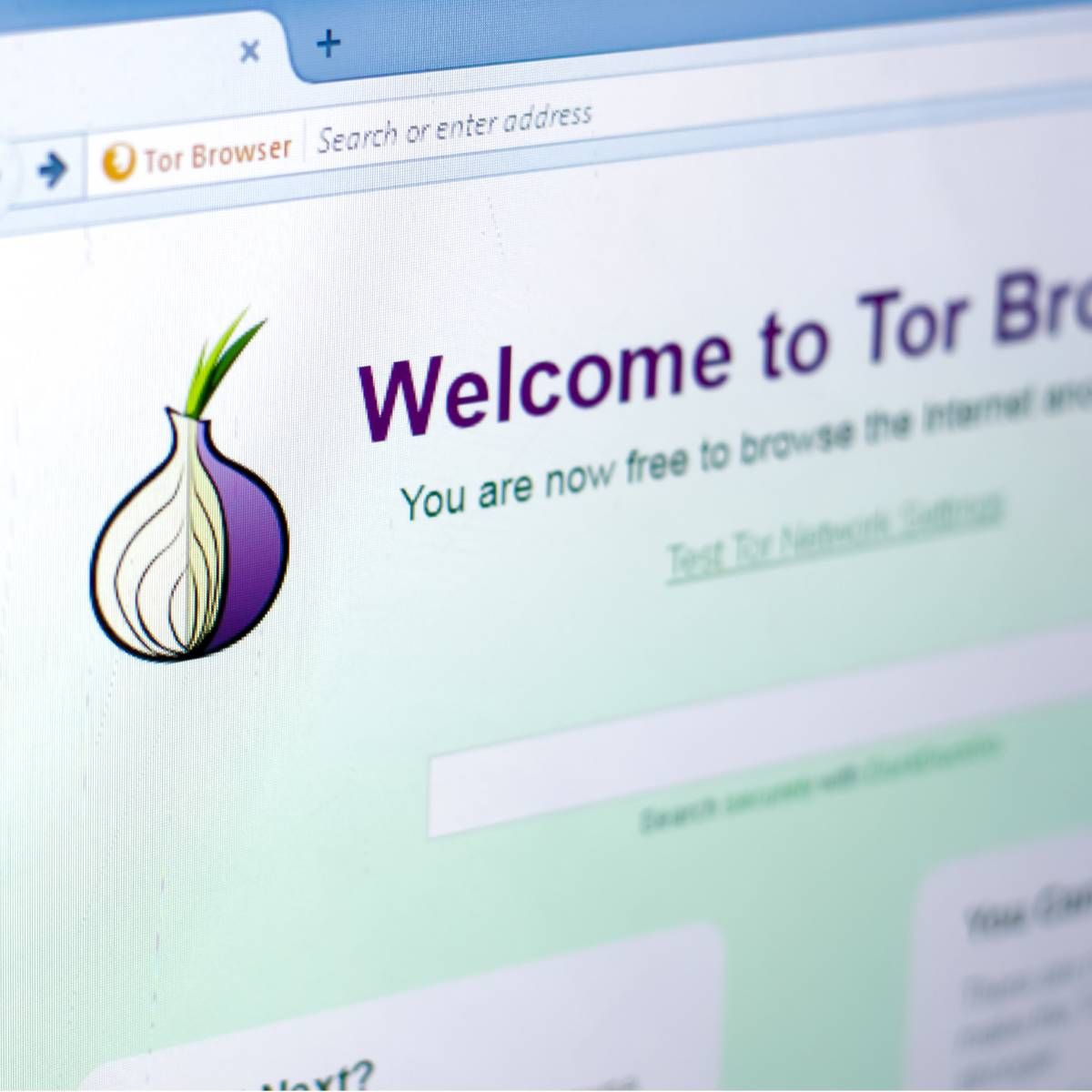 Tor browser on a PC display with a logo in the form of an onion.