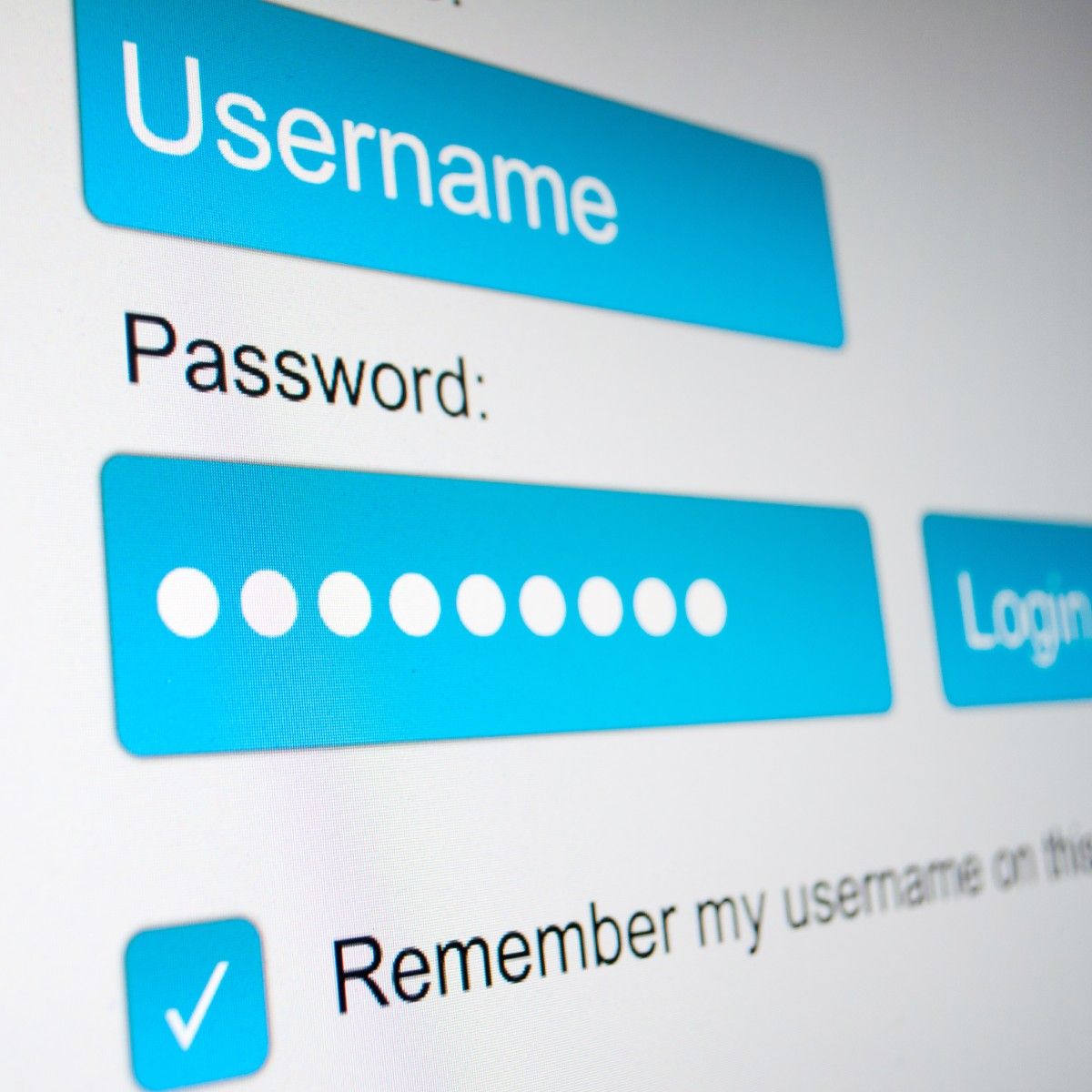 A close-up of a website login screen with username and password highlighted in blue and the option to remember my username selected