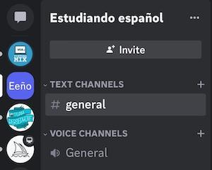 Discord has text channels (designated by a # in front of the channel name) and voice channels (designated by a speaker icon).