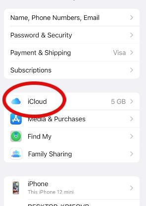 iPhone screen showing where to click iCloud in Settings