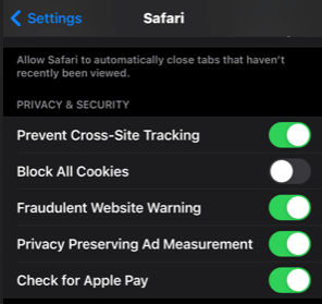 The iPhone Safari settings screen.
