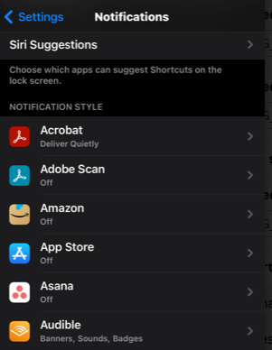 The iPhone Notifications settings screen.