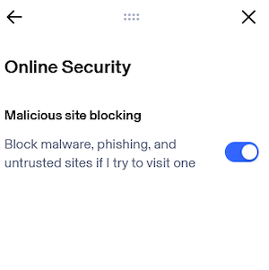 While using Firefox with Aura's ad blocker, we saw only the option to block malicious sites.