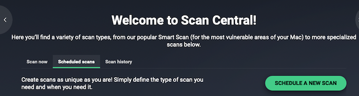 You can schedule scans with AVG antivirus as well as scan manually or check on scan history.