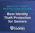 A blue background with images of locks and shields with the text &quot;Best Identity Theft Protection for Seniors&quot; and the All About Cookies logo. 