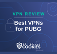 A blue background with images of locks and shields with the text &quot;Best VPNs for PUBG&quot; and the All About Cookies logo. 