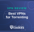 A blue background with images of locks and shields with the text &quot;Best VPNs for Torrenting&quot; and the All About Cookies logo. 