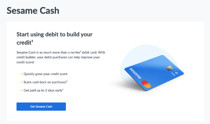 Credit Sesame's Sesame Cash feature, which allows you to use debit to build credit.