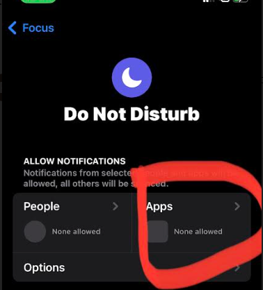 iPhone screen settings Do Not Disturb