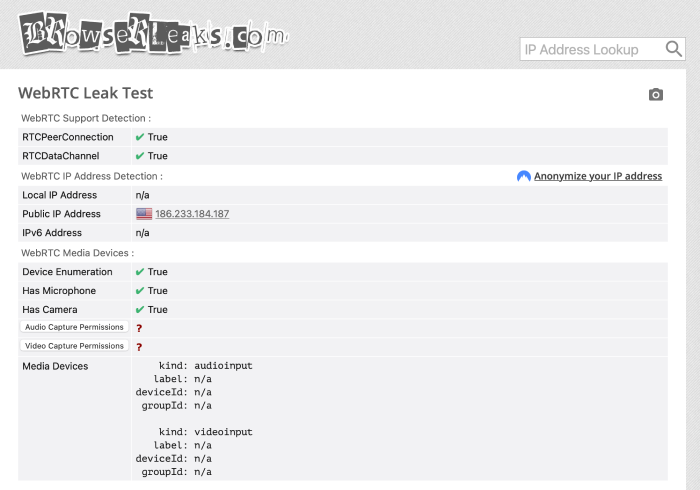 WebRTC leak test results for KeepSolid VPN Unlimited.