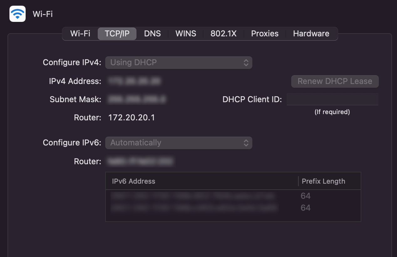 A screenshot of the Wi-Fi network settings on a Mac showing a router address of 172.20.20.1