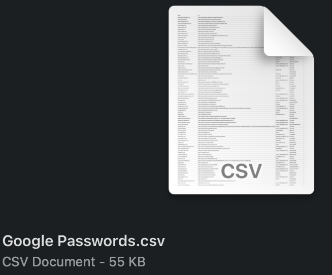 A file icon for a Google Passwords csv file.