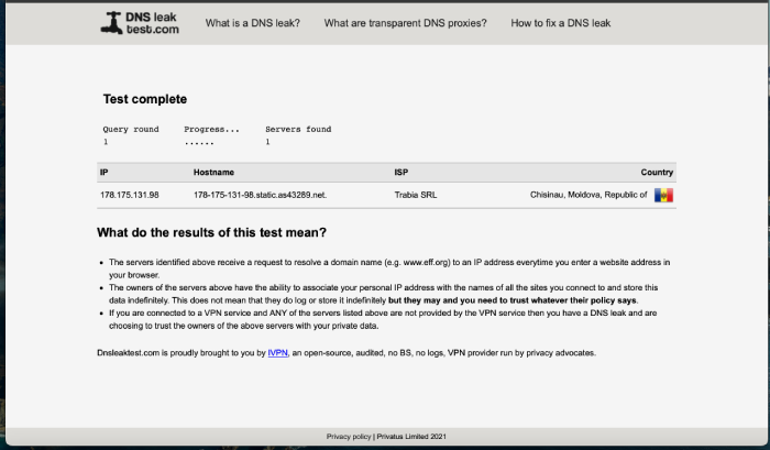 The page with the results for a DNS leak test.