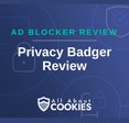 A blue background with images of locks and shields with the text &quot;Privacy Badger Review&quot; and the All About Cookies logo. 