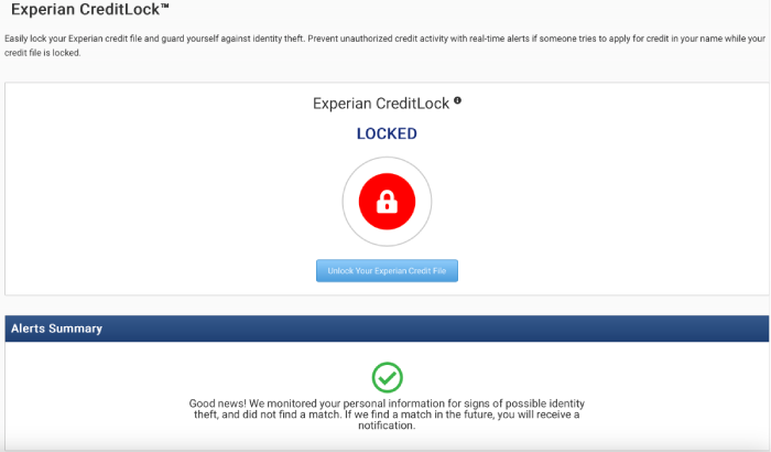 Zander's Experian CreditLock feature as well as an alerts summary.
